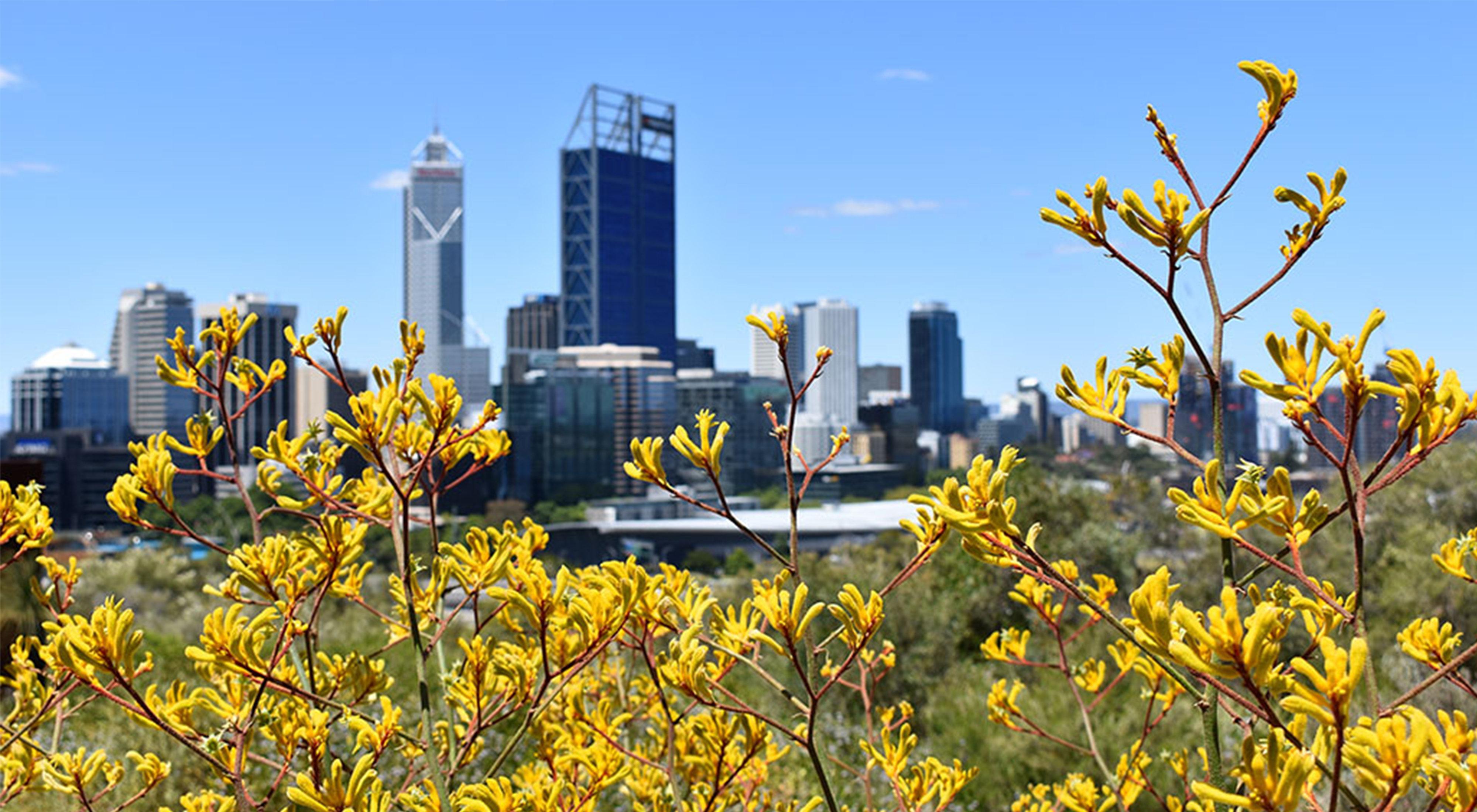 Holiday Inn Perth City Centre By Ihg Kültér fotó